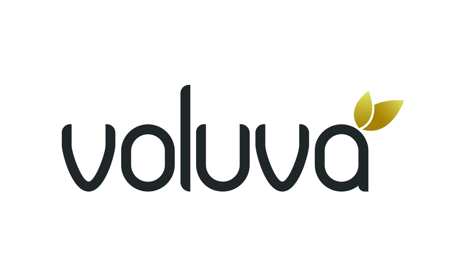 Available Business Name For Sale - Voluva